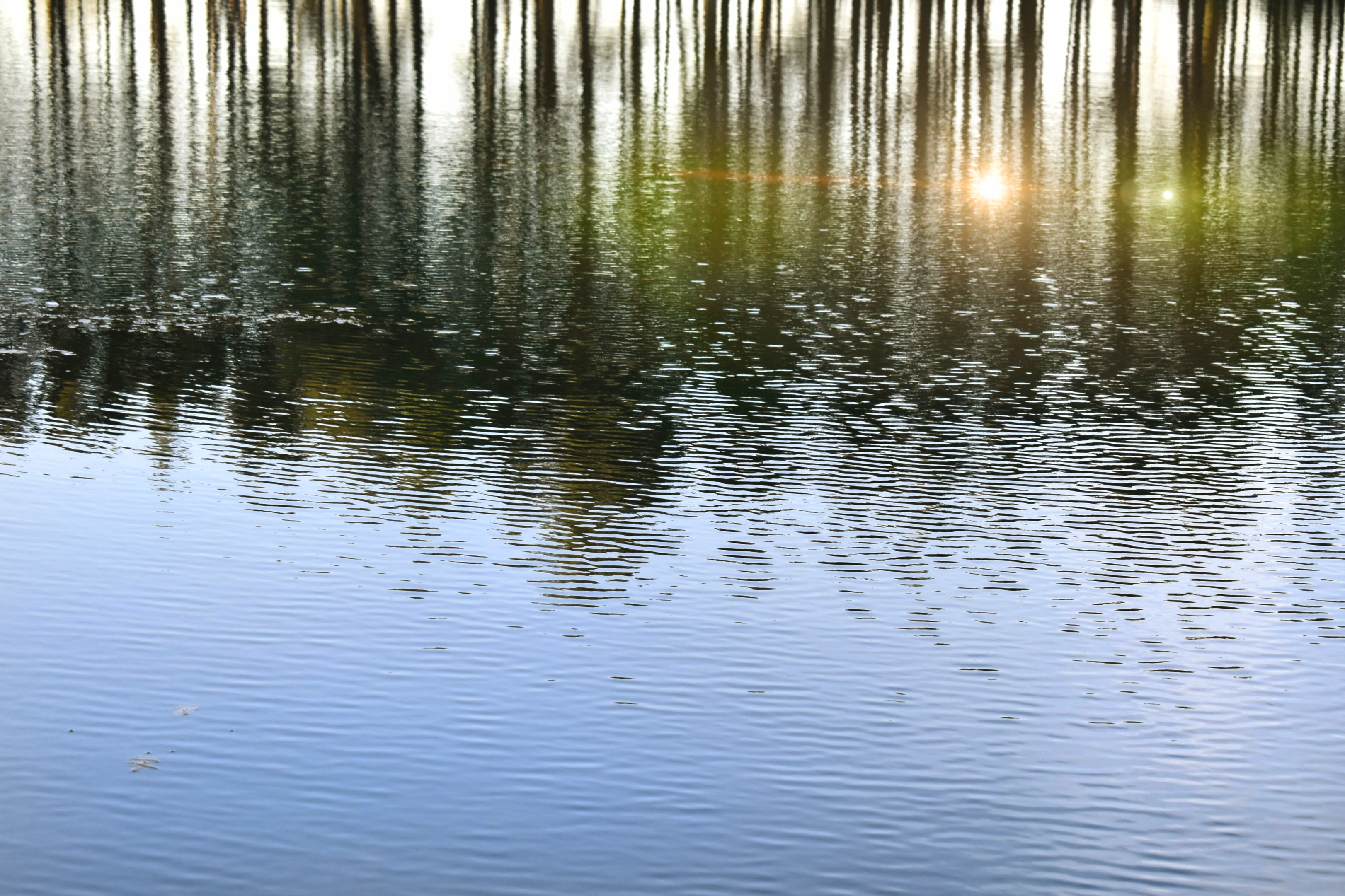 Fox Lake