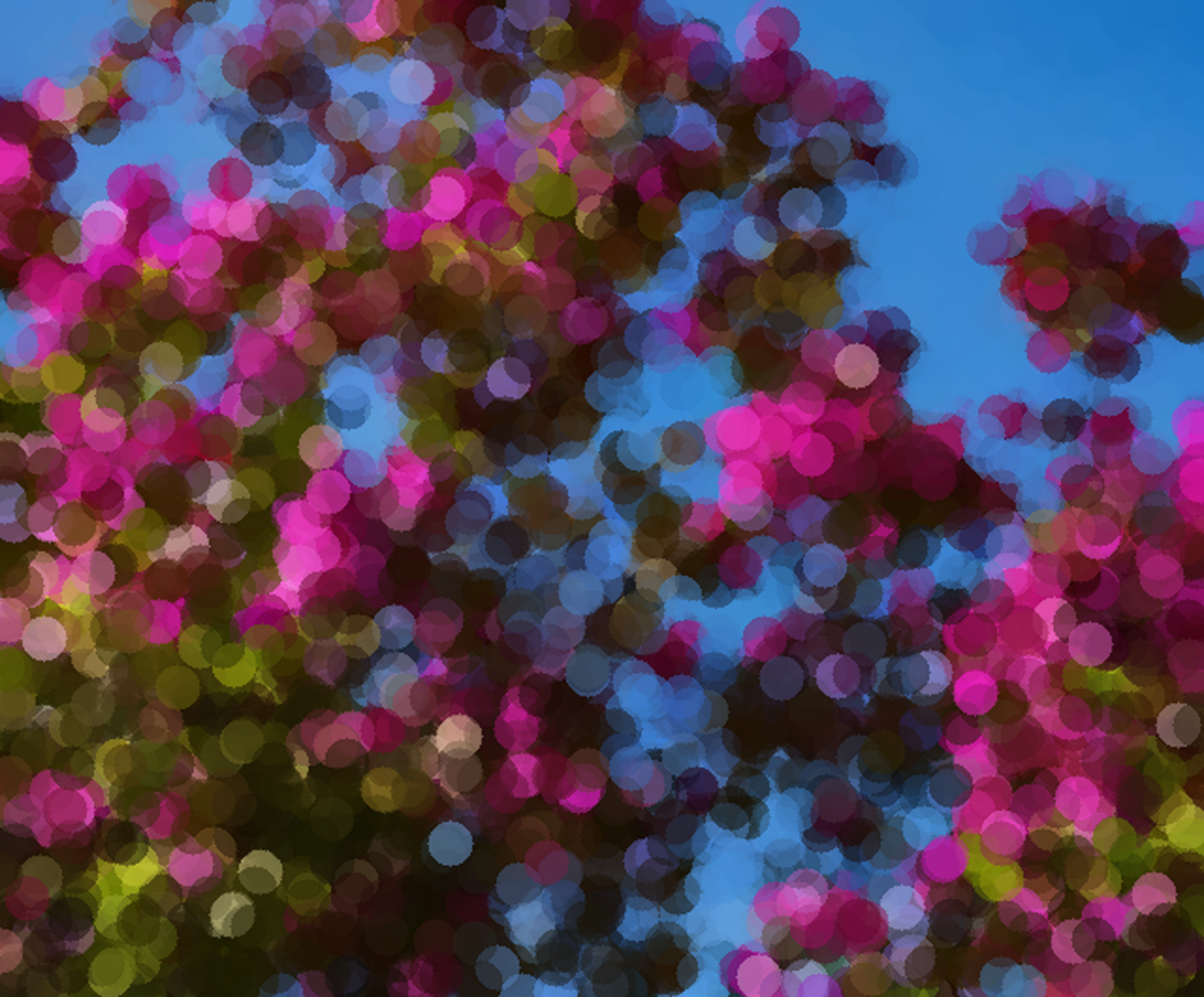 "Lilac at Greycroft"