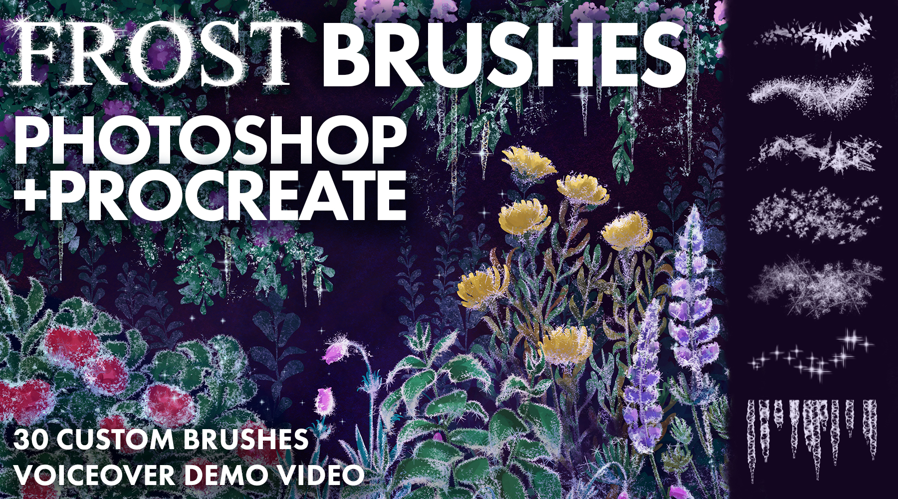 Winter Frost Brushes for Photoshop and Procreate