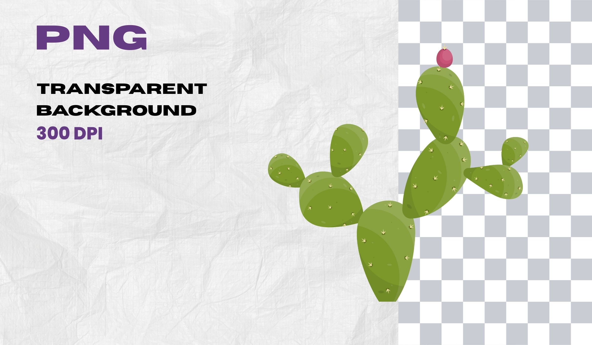 Cactus Clipart Set – Digital Cactus Illustrations, Vector Art