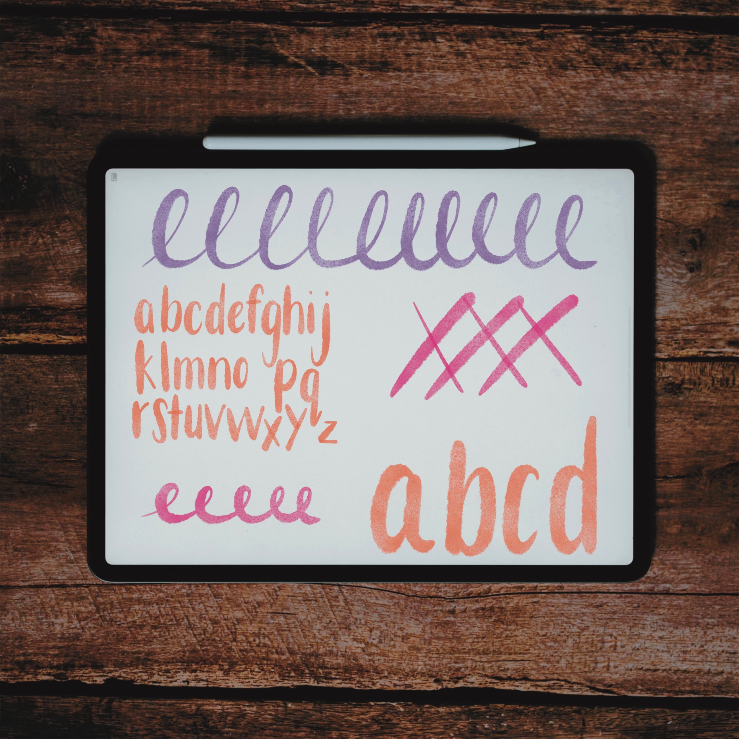 The Lucy Procreate Lettering Brush / Digital Paint Brush