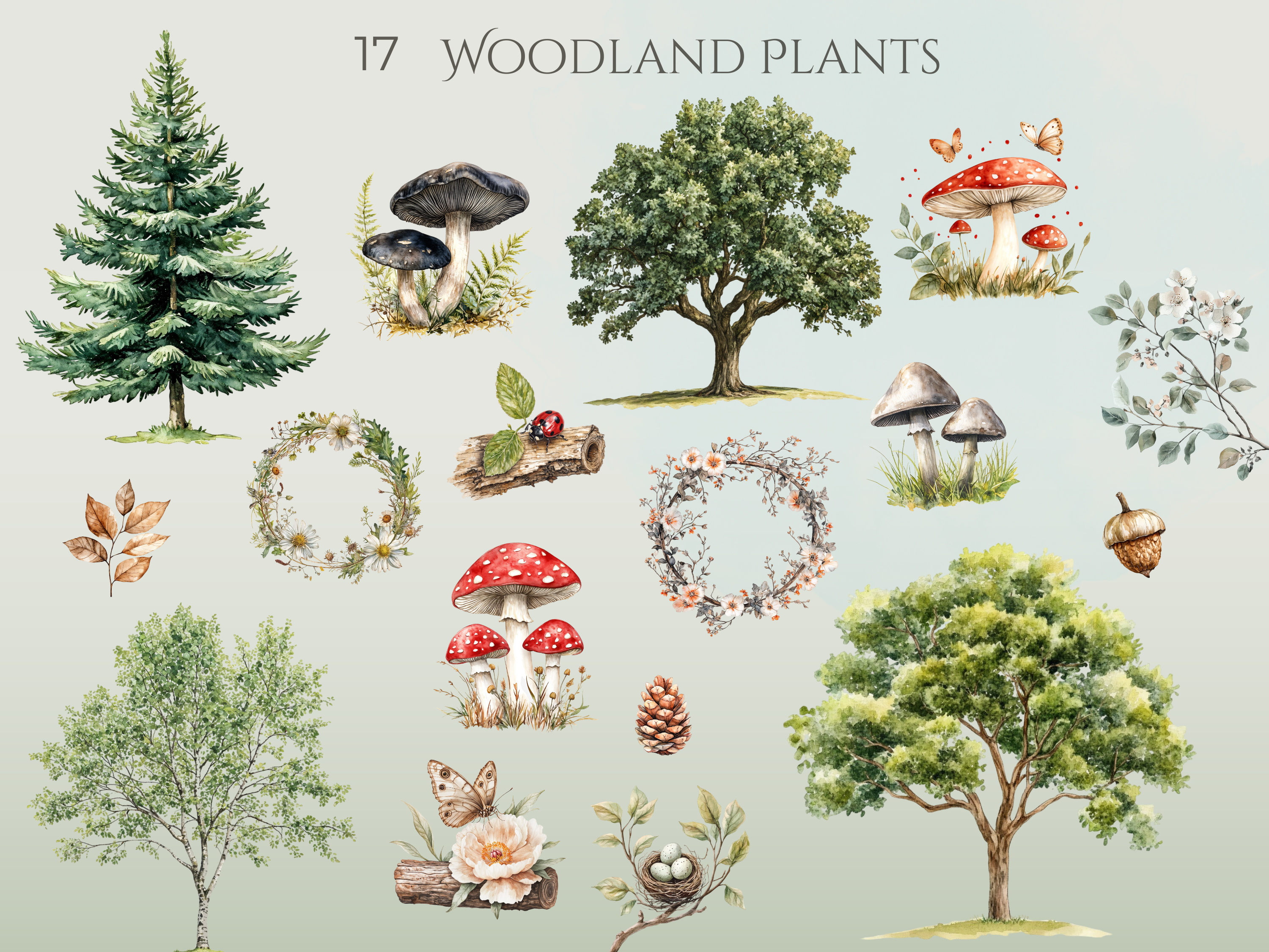 Watercolor Woodland Animals Clipart Pack