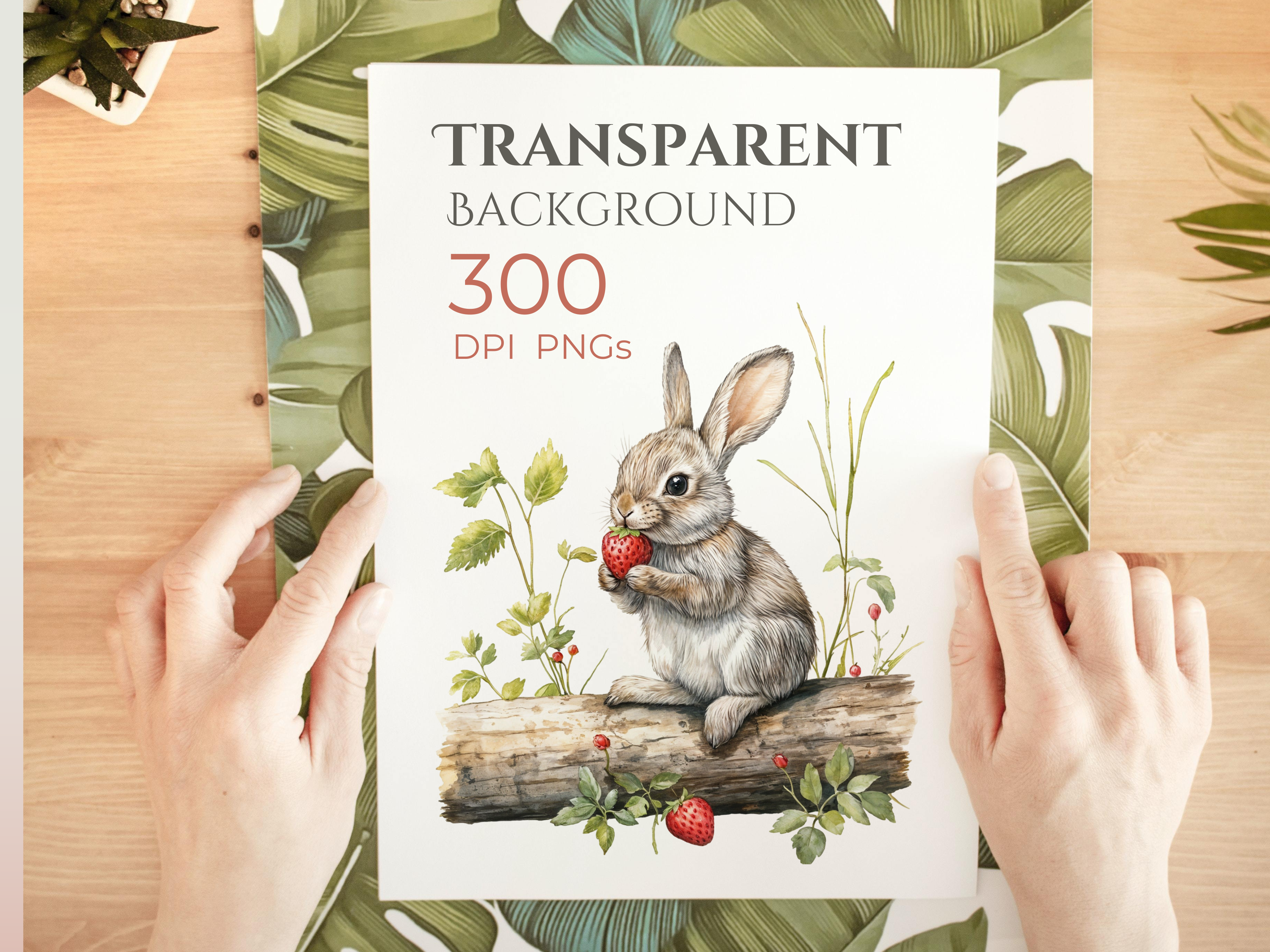 Watercolor Woodland Animals Clipart Pack