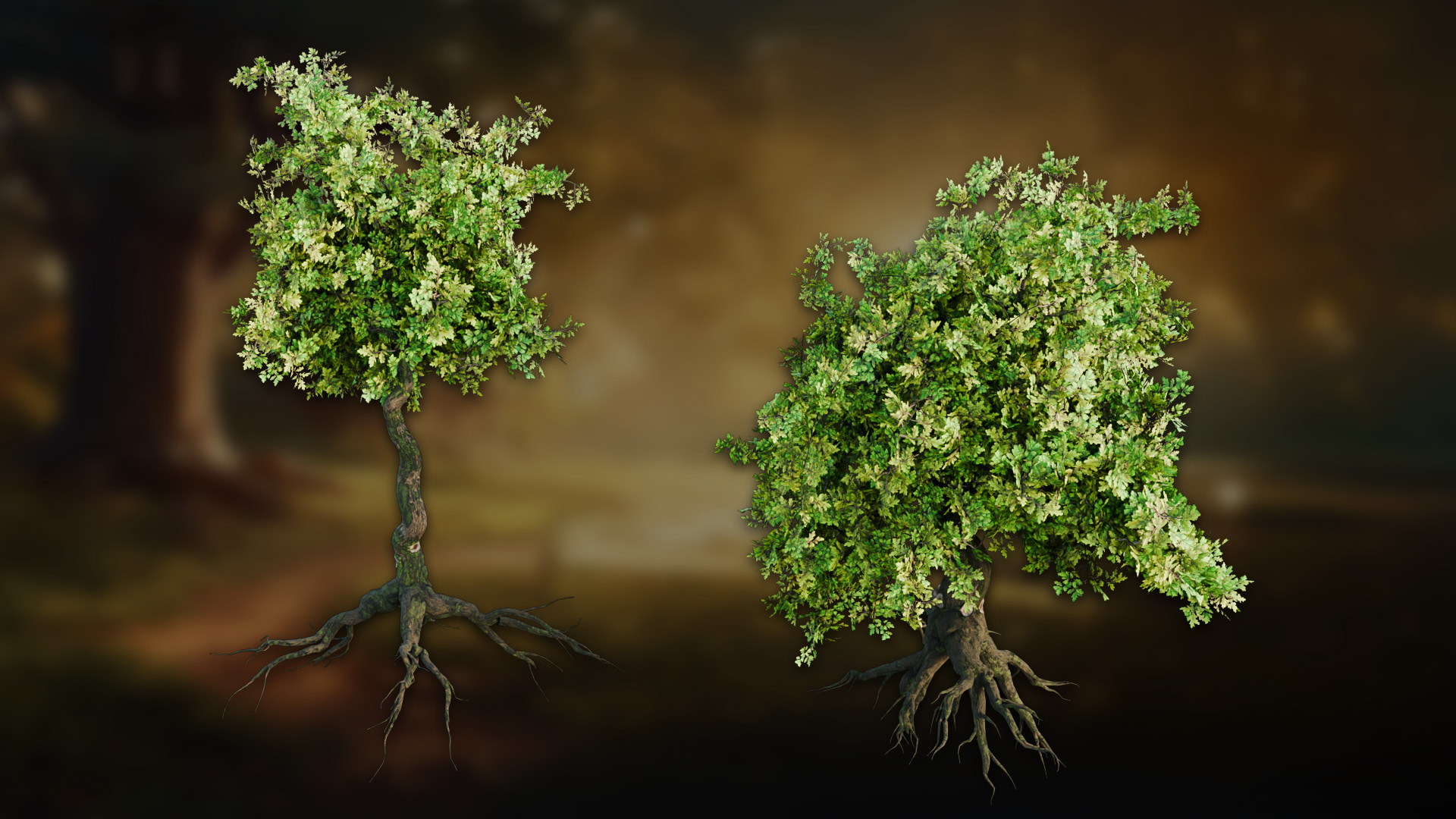 3DT Stylized Oak Geometry Node