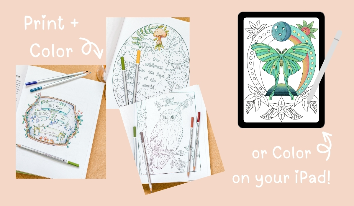 Whimsical Woodland Coloring Book
