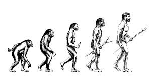 Anthropology